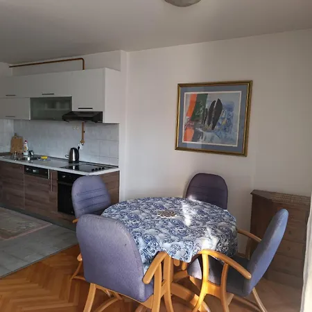 Centar Sa With Free Garage Parking